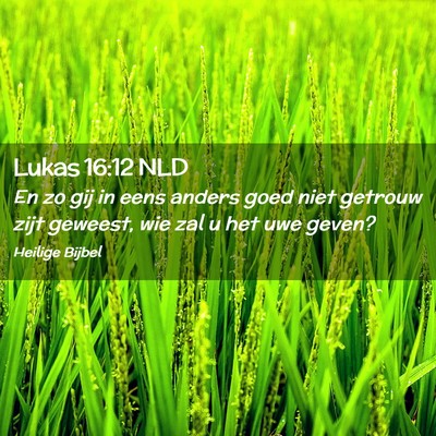 Picture 02 - Lukas 16:12 NLD - En zo gij in eens anders goed niet getrouw zijt - Bible Verse Picture