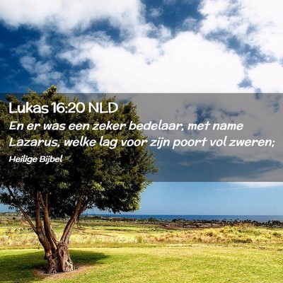 Picture 02 - Lukas 16:20 NLD - En er was een zeker bedelaar, met name Lazarus, - Bible Verse Picture