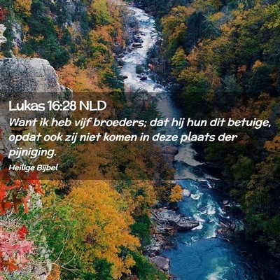 Picture 02 - Lukas 16:28 NLD - Want ik heb vijf broeders; dat hij hun dit - Bible Verse Picture