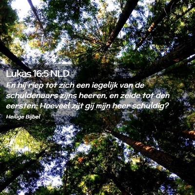 Picture 02 - Lukas 16:5 NLD - En hij riep tot zich een iegelijk van de - Bible Verse Picture