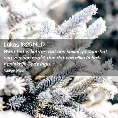 Picture 02 - Lukas 18:25 NLD - Want het is lichter, dat een kemel ga door het - Bible Verse Picture