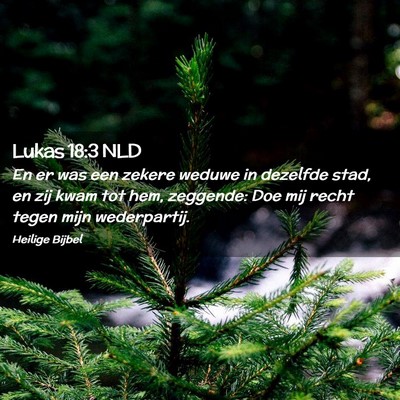 Picture 02 - Lukas 18:3 NLD - En er was een zekere weduwe in dezelfde stad, en - Bible Verse Picture