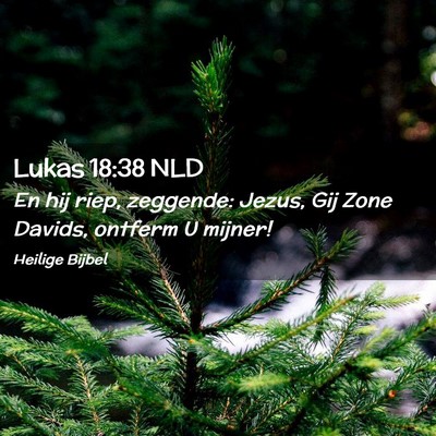Picture 02 - Lukas 18:38 NLD - En hij riep, zeggende: Jezus, Gij Zone Davids, - Bible Verse Picture