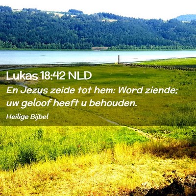 Picture 02 - Lukas 18:42 NLD - En Jezus zeide tot hem: Word ziende; uw geloof - Bible Verse Picture