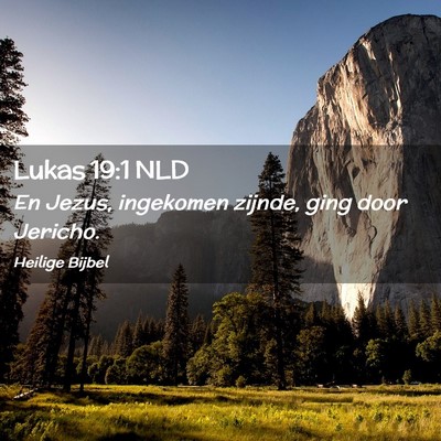 Picture 02 - Lukas 19:1 NLD - En Jezus, ingekomen zijnde, ging door - Bible Verse Picture