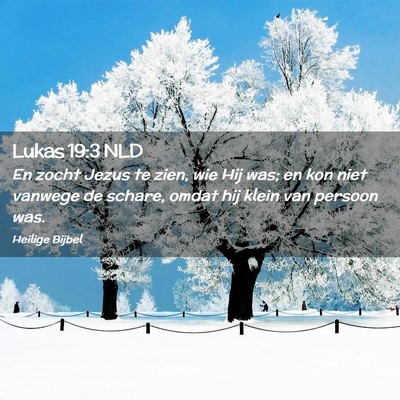 Picture 02 - Lukas 19:3 NLD - En zocht Jezus te zien, wie Hij was; en kon niet - Bible Verse Picture