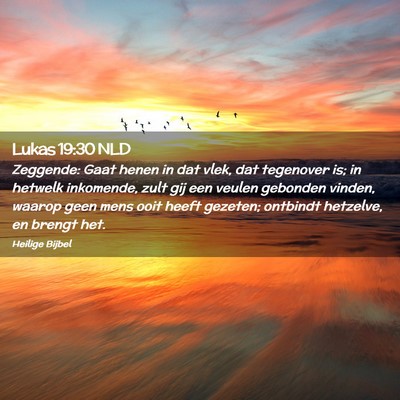 Picture 02 - Lukas 19:30 NLD - Zeggende: Gaat henen in dat vlek, dat tegenover - Bible Verse Picture
