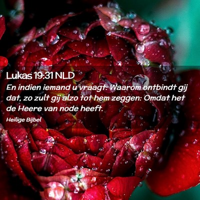 Picture 02 - Lukas 19:31 NLD - En indien iemand u vraagt: Waarom ontbindt gij - Bible Verse Picture