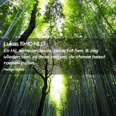 Picture 02 - Lukas 19:40 NLD - En Hij, antwoordende, zeide tot hen: Ik zeg - Bible Verse Picture