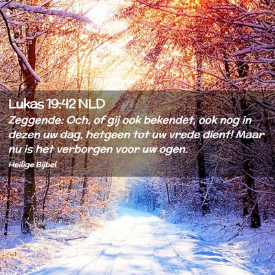 Picture 02 - Lukas 19:42 NLD - Zeggende: Och, of gij ook bekendet, ook nog in - Bible Verse Picture
