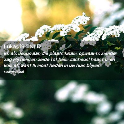 Picture 02 - Lukas 19:5 NLD - En als Jezus aan die plaats kwam, opwaarts - Bible Verse Picture