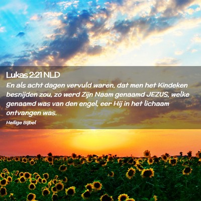 Picture 02 - Lukas 2:21 NLD - En als acht dagen vervuld waren, dat men het - Bible Verse Picture