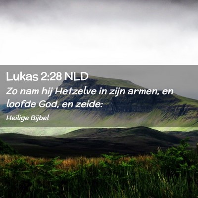 Picture 02 - Lukas 2:28 NLD - Zo nam hij Hetzelve in zijn armen, en loofde God, - Bible Verse Picture