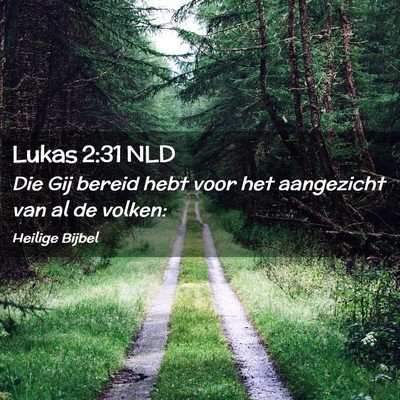 Picture 02 - Lukas 2:31 NLD - Die Gij bereid hebt voor het aangezicht van al de - Bible Verse Picture