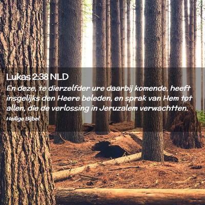 Picture 02 - Lukas 2:38 NLD - En deze, te dierzelfder ure daarbij komende, - Bible Verse Picture