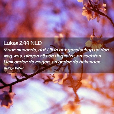 Picture 02 - Lukas 2:44 NLD - Maar menende, dat Hij in het gezelschap op den - Bible Verse Picture