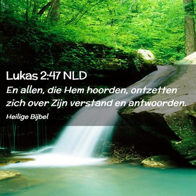 Picture 02 - Lukas 2:47 NLD - En allen, die Hem hoorden, ontzetten zich over - Bible Verse Picture