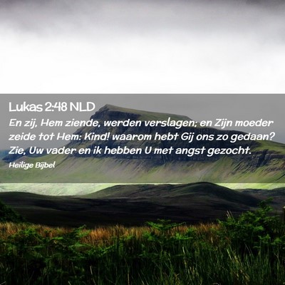 Picture 02 - Lukas 2:48 NLD - En zij, Hem ziende, werden verslagen; en Zijn - Bible Verse Picture