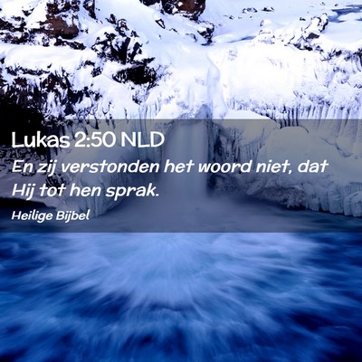 Picture 02 - Lukas 2:50 NLD - En zij verstonden het woord niet, dat Hij tot hen - Bible Verse Picture