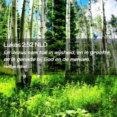 Picture 02 - Lukas 2:52 NLD - En Jezus nam toe in wijsheid, en in grootte, en - Bible Verse Picture