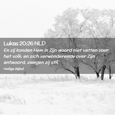 Picture 02 - Lukas 20:26 NLD - En zij konden Hem in Zijn woord niet vatten voor - Bible Verse Picture