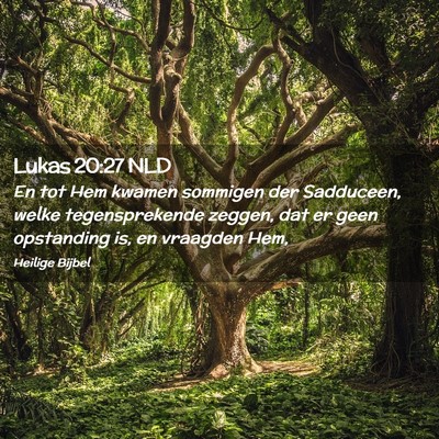 Picture 02 - Lukas 20:27 NLD - En tot Hem kwamen sommigen der Sadduceen, welke - Bible Verse Picture
