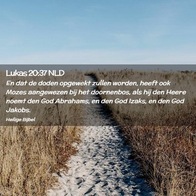 Picture 02 - Lukas 20:37 NLD - En dat de doden opgewekt zullen worden, heeft ook - Bible Verse Picture