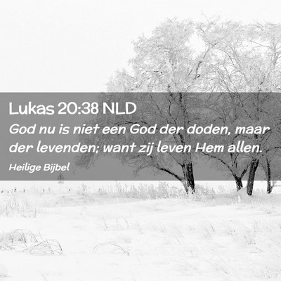 Picture 02 - Lukas 20:38 NLD - God nu is niet een God der doden, maar der - Bible Verse Picture