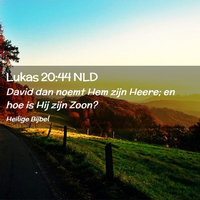 Picture 02 - Lukas 20:44 NLD - David dan noemt Hem zijn Heere; en hoe is Hij - Bible Verse Picture
