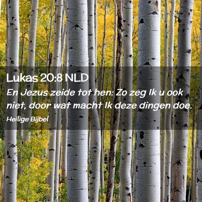 Picture 02 - Lukas 20:8 NLD - En Jezus zeide tot hen: Zo zeg Ik u ook niet, - Bible Verse Picture
