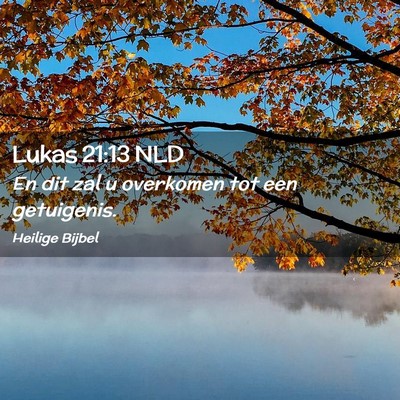 Picture 02 - Lukas 21:13 NLD - En dit zal u overkomen tot een - Bible Verse Picture