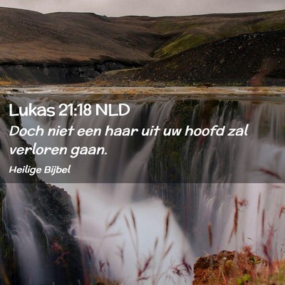 Picture 02 - Lukas 21:18 NLD - Doch niet een haar uit uw hoofd zal verloren - Bible Verse Picture