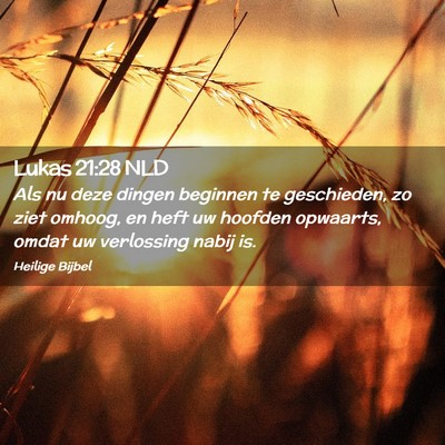 Picture 02 - Lukas 21:28 NLD - Als nu deze dingen beginnen te geschieden, zo - Bible Verse Picture