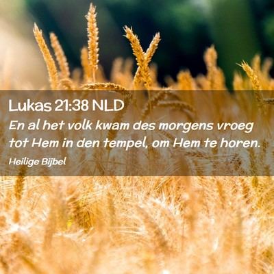 Picture 02 - Lukas 21:38 NLD - En al het volk kwam des morgens vroeg tot Hem in - Bible Verse Picture