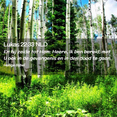 Picture 02 - Lukas 22:33 NLD - En hij zeide tot Hem: Heere, ik ben bereid, met U - Bible Verse Picture