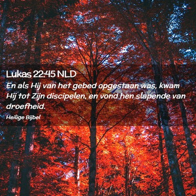 Picture 02 - Lukas 22:45 NLD - En als Hij van het gebed opgestaan was, kwam Hij - Bible Verse Picture