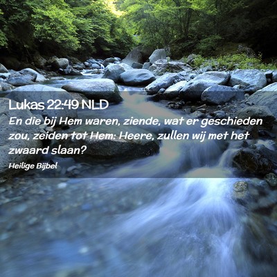 Picture 02 - Lukas 22:49 NLD - En die bij Hem waren, ziende, wat er geschieden - Bible Verse Picture