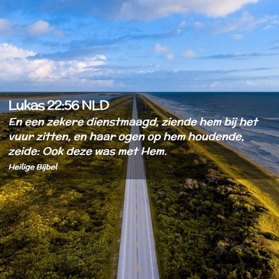 Picture 02 - Lukas 22:56 NLD - En een zekere dienstmaagd, ziende hem bij het - Bible Verse Picture