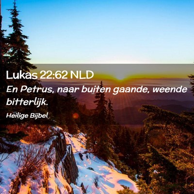 Picture 02 - Lukas 22:62 NLD - En Petrus, naar buiten gaande, weende - Bible Verse Picture