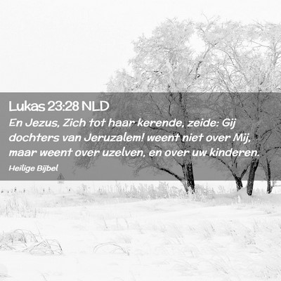 Picture 02 - Lukas 23:28 NLD - En Jezus, Zich tot haar kerende, zeide: Gij - Bible Verse Picture