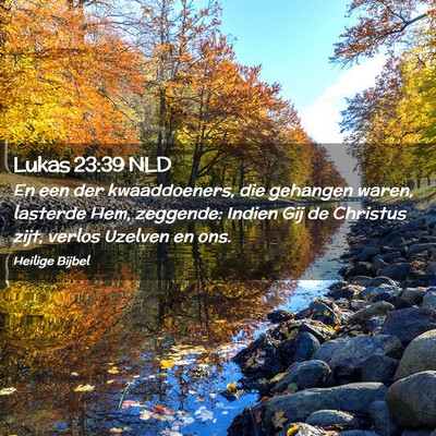 Picture 02 - Lukas 23:39 NLD - En een der kwaaddoeners, die gehangen waren, - Bible Verse Picture