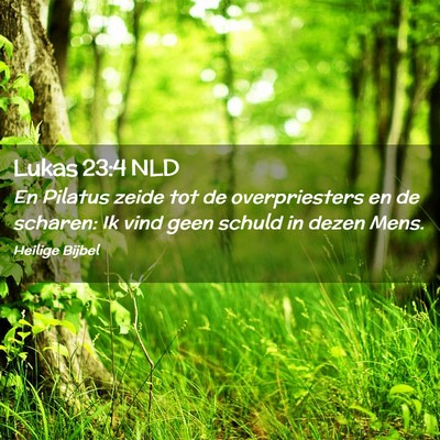 Picture 02 - Lukas 23:4 NLD - En Pilatus zeide tot de overpriesters en de - Bible Verse Picture