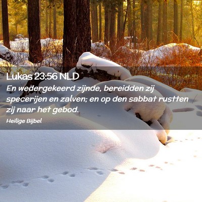 Picture 02 - Lukas 23:56 NLD - En wedergekeerd zijnde, bereidden zij specerijen - Bible Verse Picture