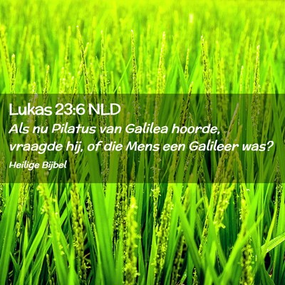 Picture 02 - Lukas 23:6 NLD - Als nu Pilatus van Galilea hoorde, vraagde hij, - Bible Verse Picture
