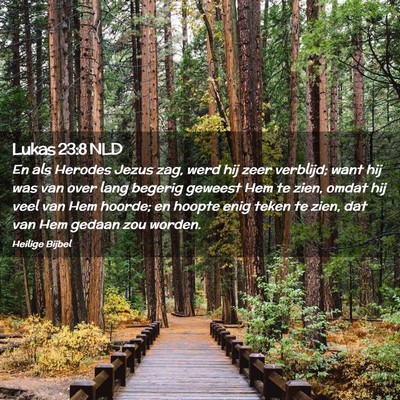 Picture 02 - Lukas 23:8 NLD - En als Herodes Jezus zag, werd hij zeer verblijd; - Bible Verse Picture