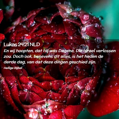 Picture 02 - Lukas 24:21 NLD - En wij hoopten, dat Hij was Degene, Die Israel - Bible Verse Picture