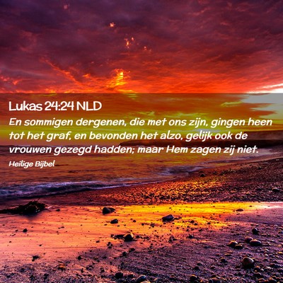 Picture 02 - Lukas 24:24 NLD - En sommigen dergenen, die met ons zijn, gingen - Bible Verse Picture