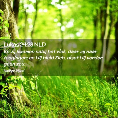 Picture 02 - Lukas 24:28 NLD - En zij kwamen nabij het vlek, daar zij naar - Bible Verse Picture