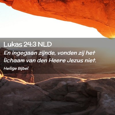 Picture 02 - Lukas 24:3 NLD - En ingegaan zijnde, vonden zij het lichaam van - Bible Verse Picture