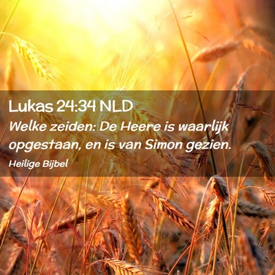Picture 02 - Lukas 24:34 NLD - Welke zeiden: De Heere is waarlijk opgestaan, en - Bible Verse Picture